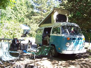 popup bus