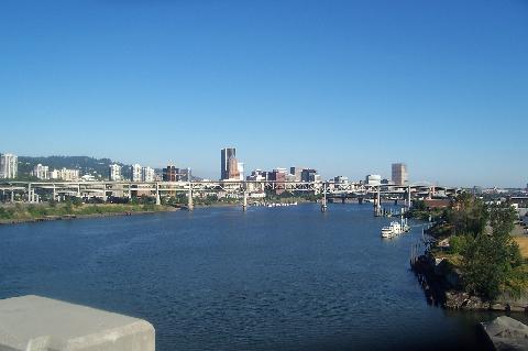 ross_view