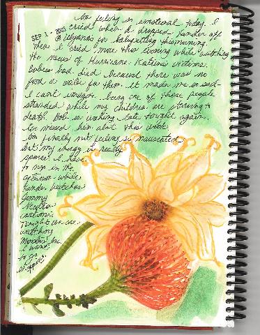 journal26.jpg