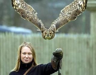 000BIRDIE