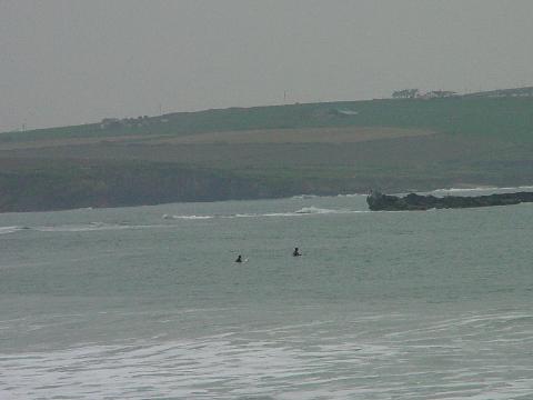 Surfers
