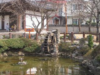 Pond.JPG