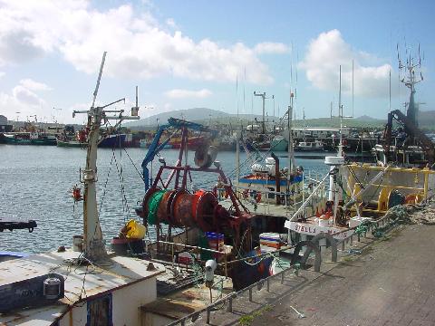 Dingle