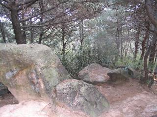 IMG_2042.JPG