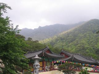 IMG_2092.JPG