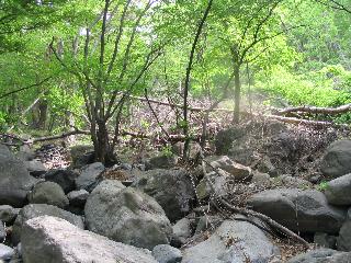 IMG_2097.JPG