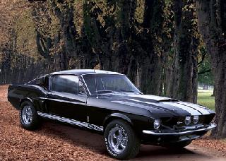 1967 Shelby GT500