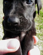 First Day home