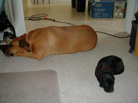 Desi and Katy.jpg