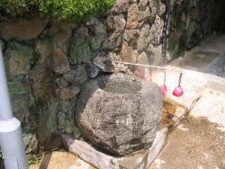 IMG_2174.JPG