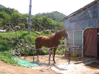 IMG_2124.JPG