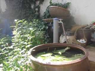 IMG_2151.JPG