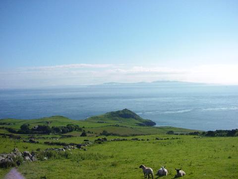 Torr Head