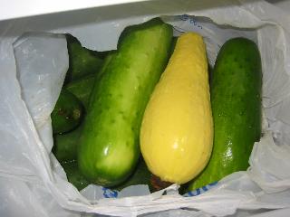 8-7-2006-veggies