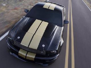 Ford Shelby GT-H