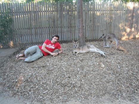 kangeroo