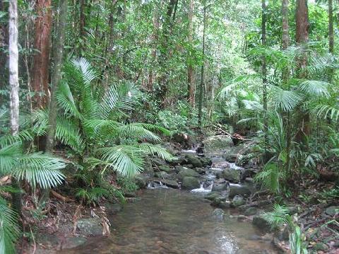 creek