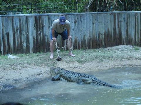 crockeeper