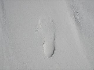 footprint