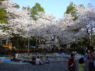 ikebukuro