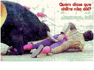 o_toureiro.gif