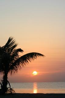 SUNRISE2.jpg